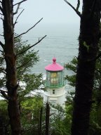 Lighthouse Through Trees